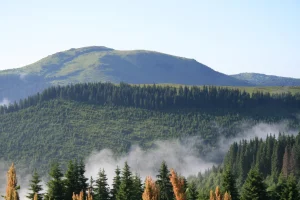 Чивчинські гори — дика перлина Карпат