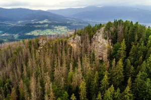 Гора Костел біля Микуличина: скельний шпиль Карпат, який варто підкорити