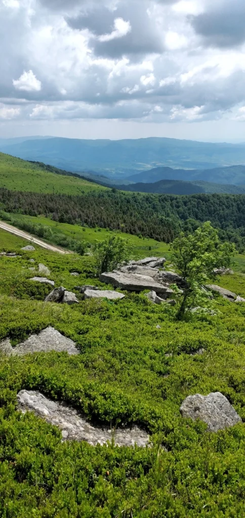 Полонина Руна: серце західних Карпат